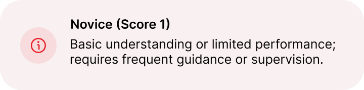 A label with the heading "Novice (Score 1)" and text stating that this level indicates basic understanding and requires frequent guidance or supervision.